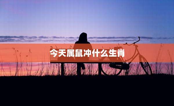 今天属鼠冲什么生肖