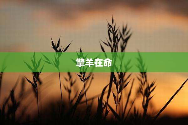 擎羊在命