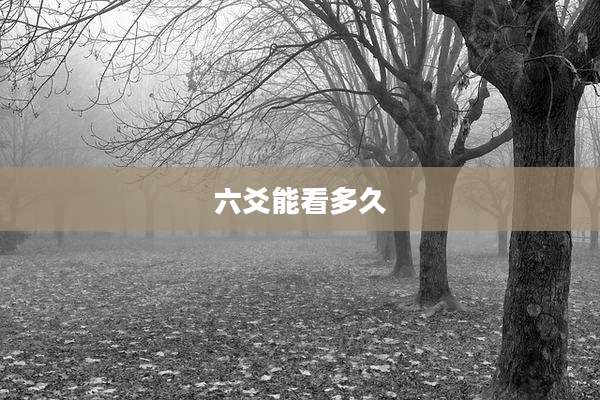 六爻能看多久