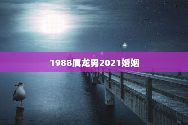 1988属龙男2021婚姻