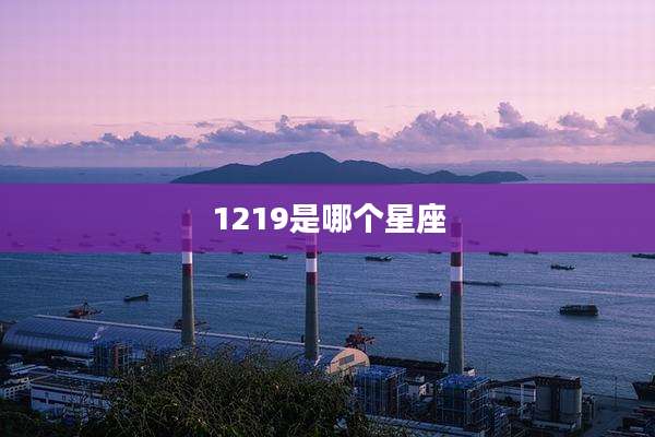 1219是哪个星座