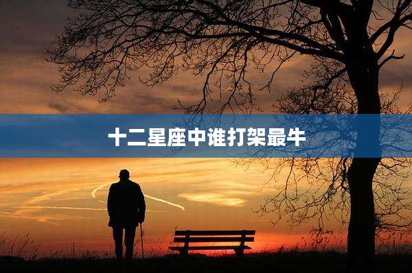 十二星座中谁打架最牛