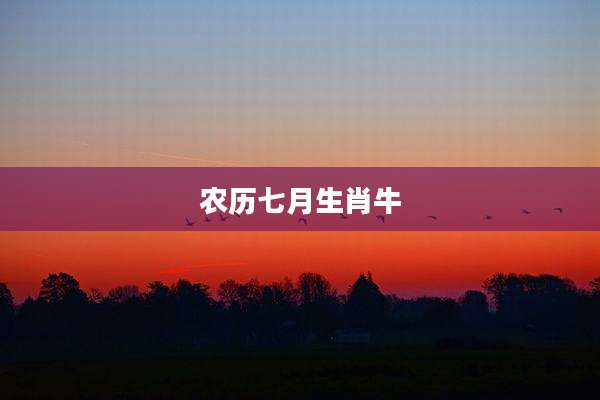 农历七月生肖牛
