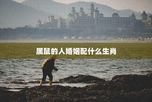 属鼠的人婚姻配什么生肖