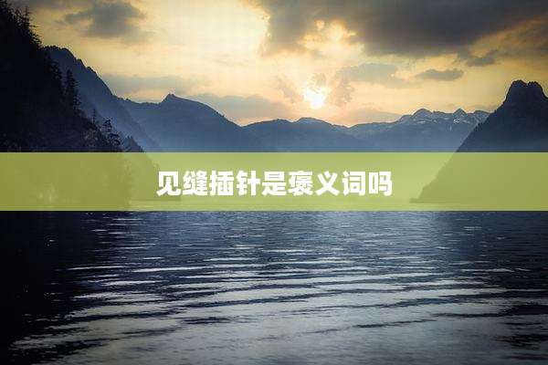 见缝插针是褒义词吗