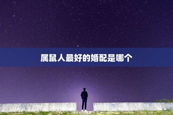 属鼠人最好的婚配是哪个