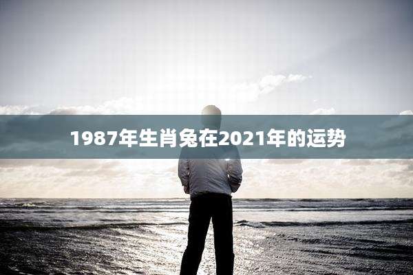 1987年生肖兔在2021年的运势