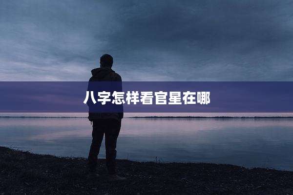 八字怎样看官星在哪