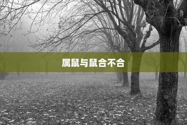 属鼠与鼠合不合