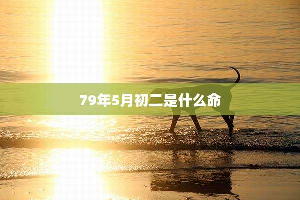 79年5月初二是什么命
