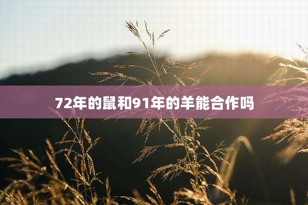 72年的鼠和91年的羊能合作吗