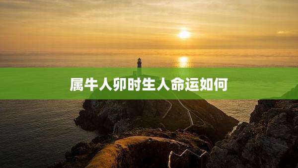 属牛人卯时生人命运如何