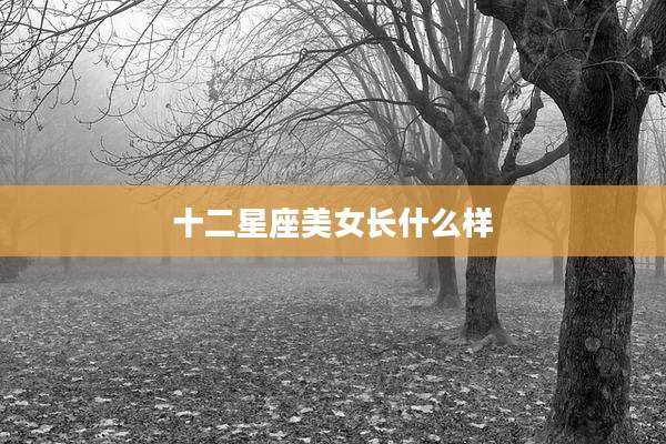 十二星座美女长什么样
