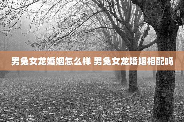 男兔女龙婚姻怎么样 男兔女龙婚姻相配吗