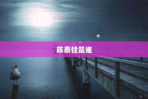 陈泰铨是谁