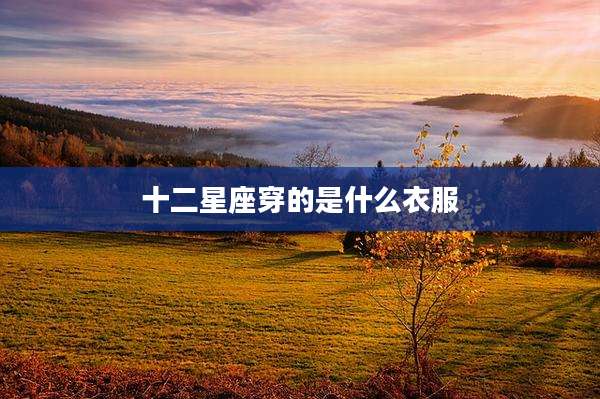 十二星座穿的是什么衣服