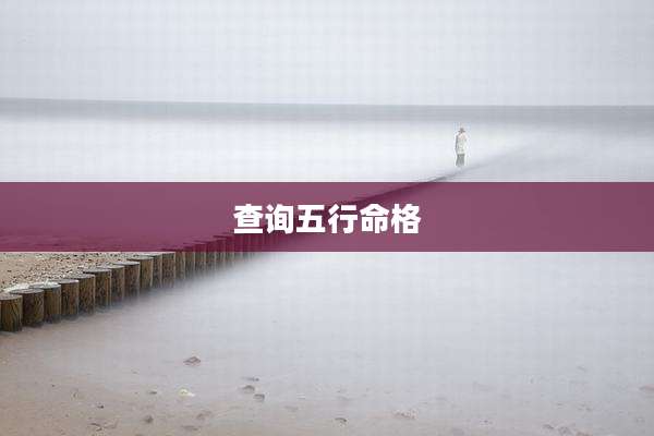 查询五行命格