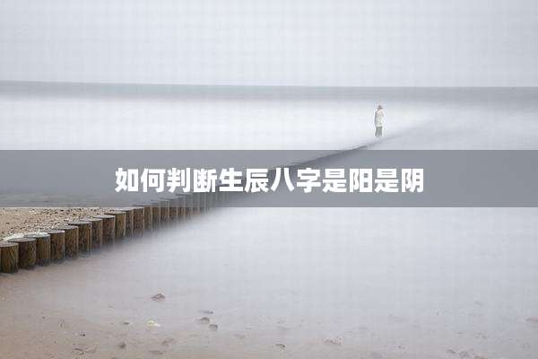 如何判断生辰八字是阳是阴