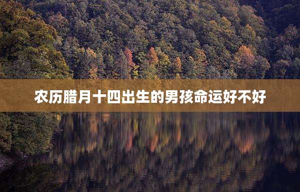农历腊月十四出生的男孩命运好不好