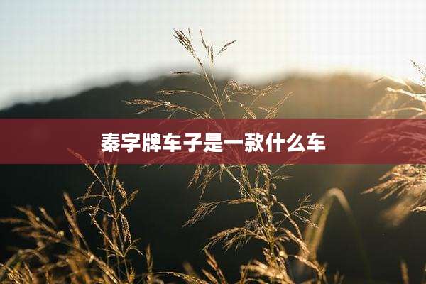 秦字牌车子是一款什么车