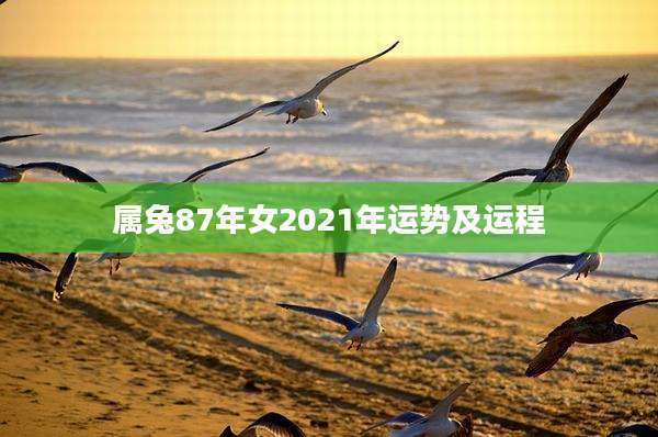 属兔87年女2021年运势及运程