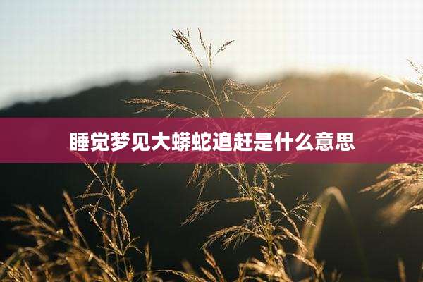 睡觉梦见大蟒蛇追赶是什么意思
