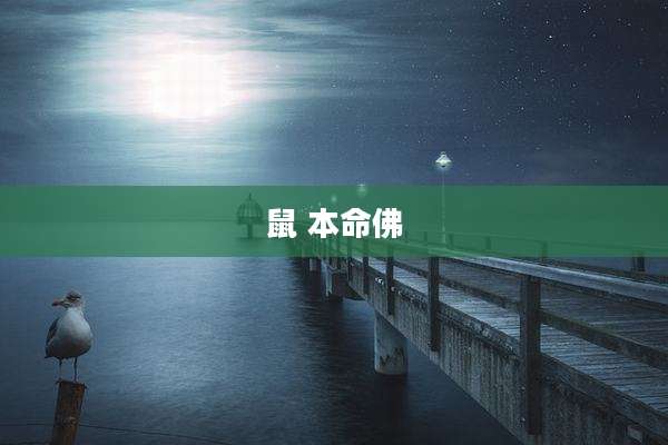 鼠 本命佛