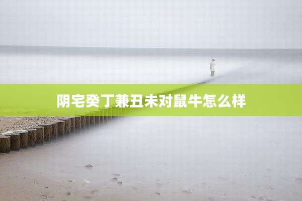 阴宅癸丁兼丑未对鼠牛怎么样