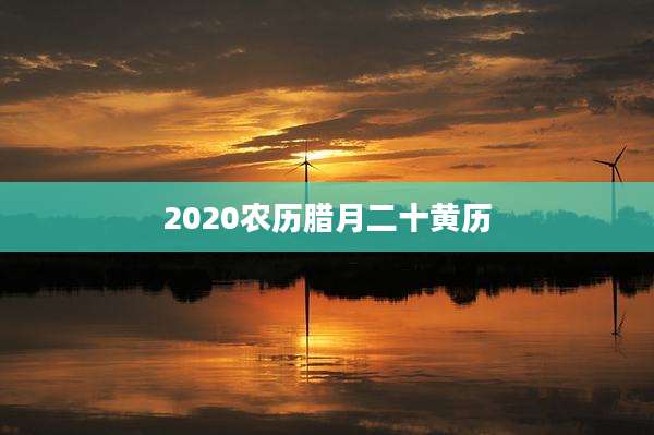 2020农历腊月二十黄历
