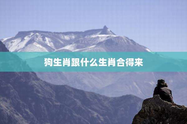 狗生肖跟什么生肖合得来