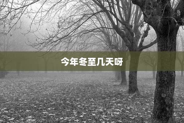 今年冬至几天呀