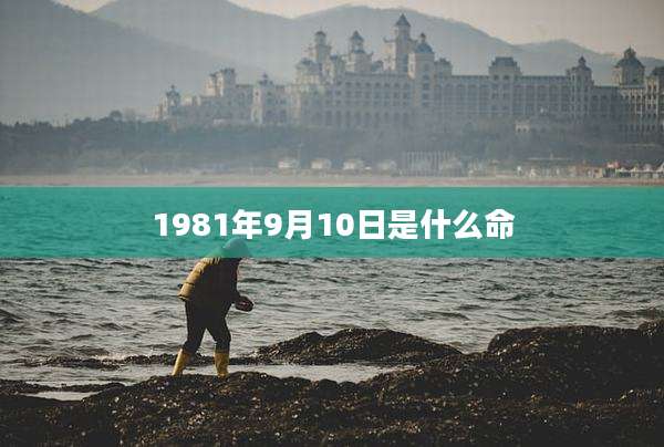 1981年9月10日是什么命