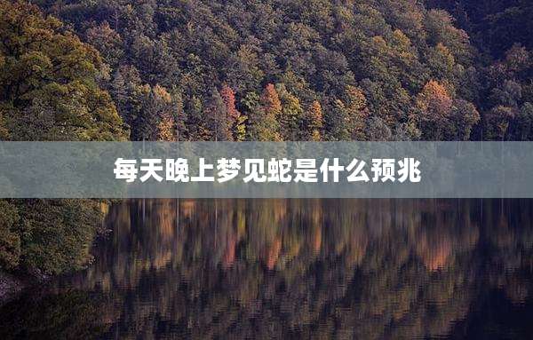 每天晚上梦见蛇是什么预兆