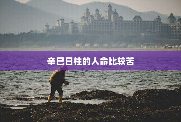 辛巳日柱的人命比较苦