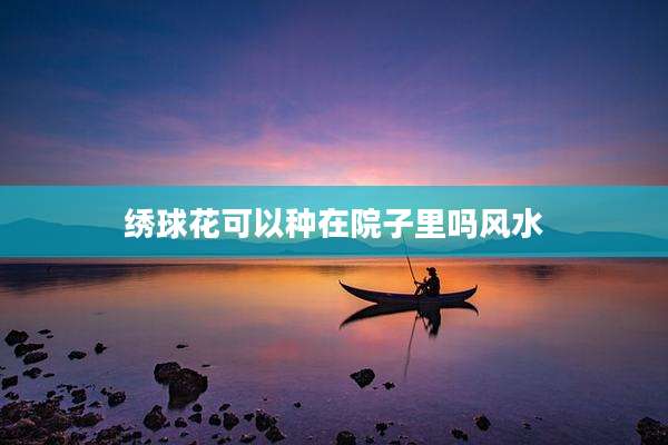 绣球花可以种在院子里吗风水