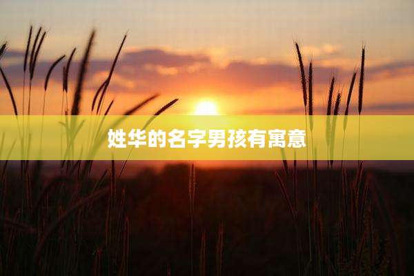 姓华的名字男孩有寓意