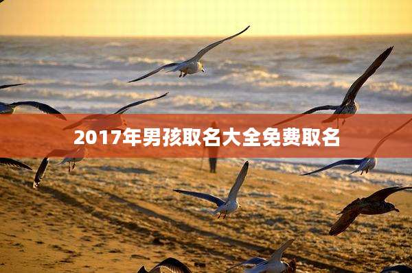 2017年男孩取名大全免费取名