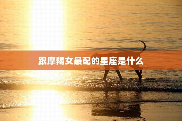 跟摩羯女最配的星座是什么