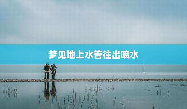 梦见地上水管往出喷水