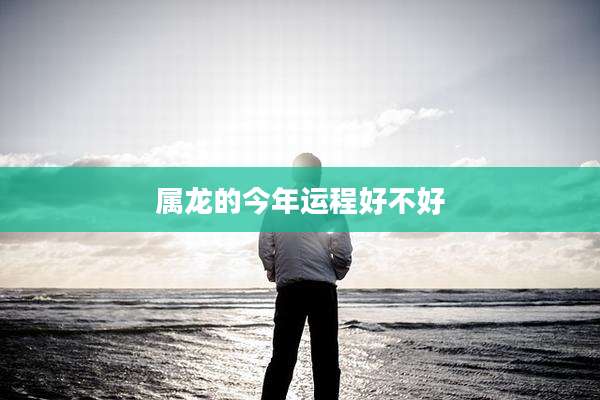 属龙的今年运程好不好