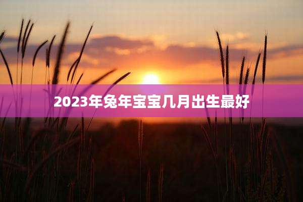 2023年兔年宝宝几月出生最好