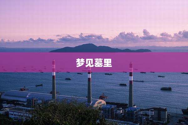 梦见墓里