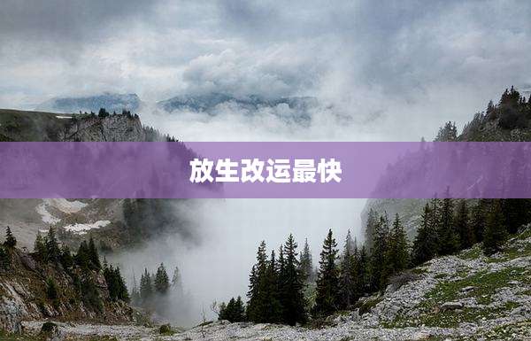 放生改运最快