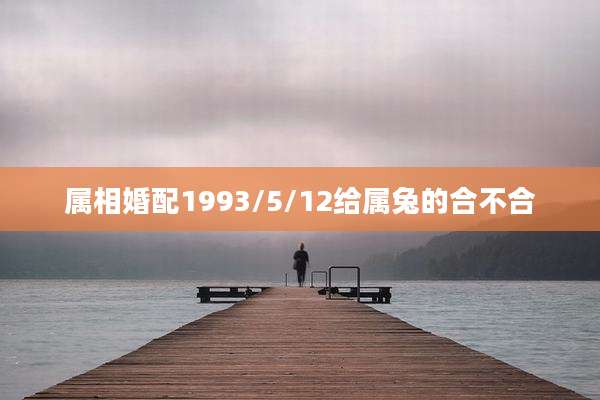 属相婚配1993/5/12给属兔的合不合