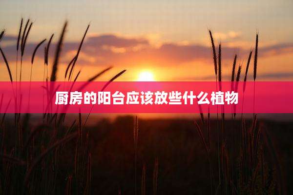 厨房的阳台应该放些什么植物