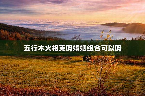 五行木火相克吗婚姻组合可以吗