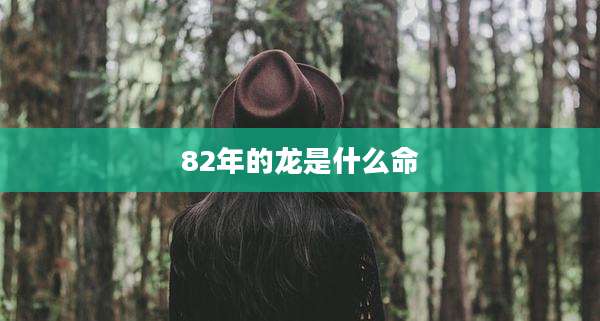 82年的龙是什么命