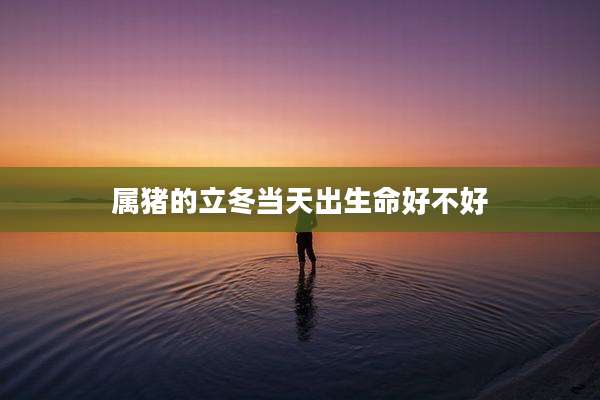 属猪的立冬当天出生命好不好