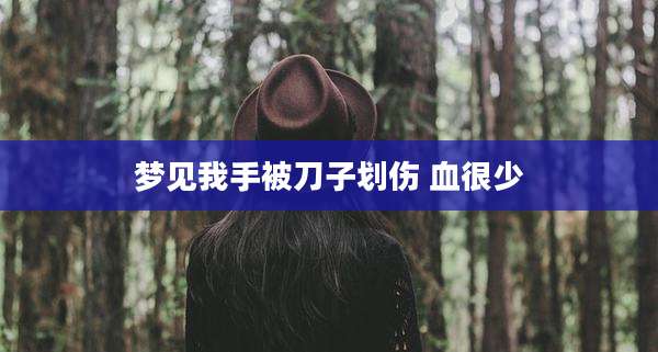 梦见我手被刀子划伤 血很少