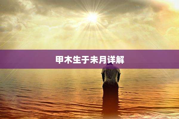 甲木生于未月详解